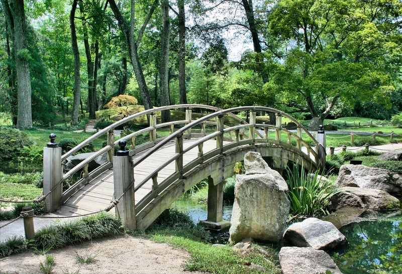 Shared Garden