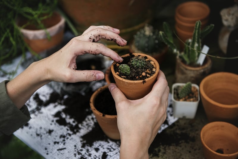 Sustainable Gardening